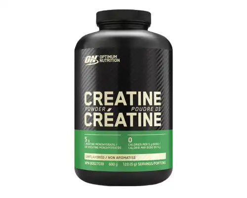 Creatine Micronized Powder 120 servicios Optimum Nutrition