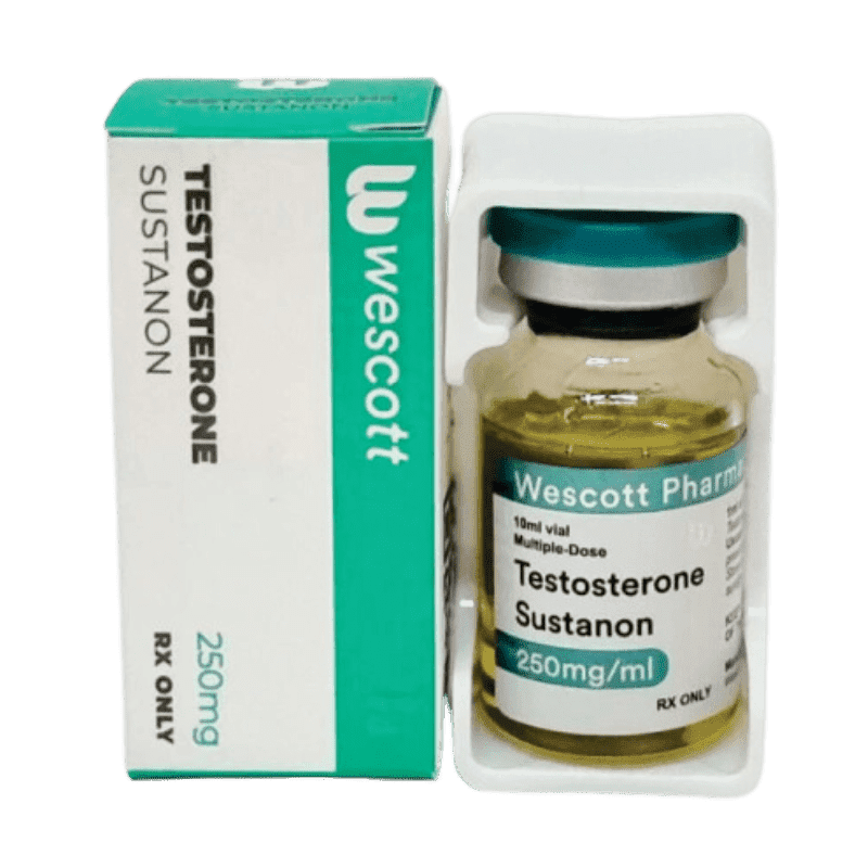 Testosterone Sustanon 10 ML 250 Mg Wescott