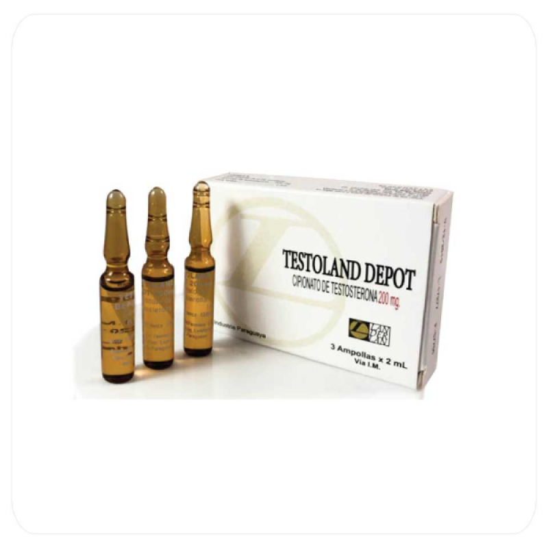 Testoland Depot Cipionato De Testosterona Landerlan