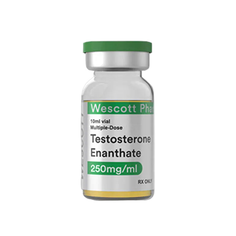 Testosterone Enanthate 10 ML 250 Mg Wescott