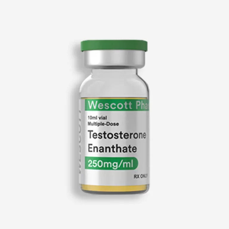 Testosterone Enanthate 10 ML 250 Mg Wescott